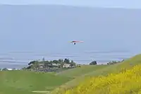Hang gliding in the park