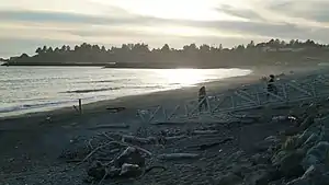 The beach at Harbor