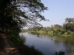 Haringhata Forest and Lake