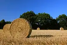 Harvest straw bales in a field of Schleswig-Holstein, Germany