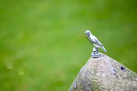 Harz Roller on Wilhelm Trutes Gravestone