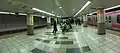 Keiyo Line platforms