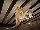 Copy of the effigy of the Graoully in the Lorraine room in the castle of Haut-Koenigsbourg (Bas-Rhin, France)