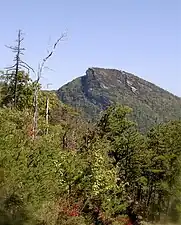 Hawksbill Mountain as seen from Dogback Ridge