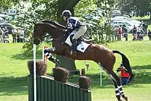 A brown horse with a rider jumping over a wide, sloped gray-colored obstacle with spectators, green grass and trees in the background