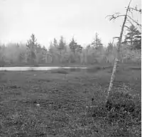 Hawley Bog, Massachusetts