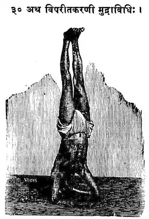 Viparita Karani using a headstand in Yogasopana Purvacatuska, 1905