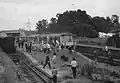 The train at Heathfield station.