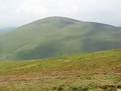 Hedgehope Hill from Scald Hill