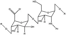 Repeating unit of the heparan sulfate substrate of β-glucuronidase