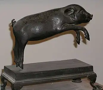 Pig