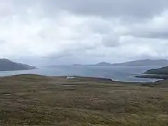 Landscape in the Hermite Islands