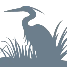 Heron-wikipedia