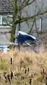 Heron in flight within park