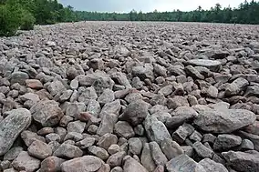 Boulder field at Hickory Run State Park, July 2007