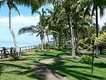  tropical garden with palms by the sea