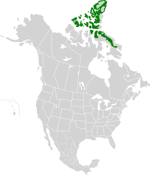 Ecoregion territory (in green)