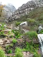 Winter ascent of Table Mountain. Hikers set out on one of the many popular trails