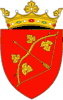 Coat of arms of Hîncești