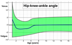 Hip-knee-ankle angle by age, with 95% prediction interval.