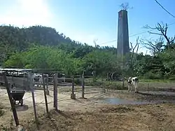 1861 smoke stack with cow in foreground