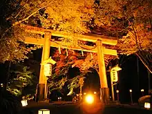 Torii on the Momiji Matsuri evening (Maple Festival)