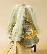 Helmet m/1879 with plume m/1887 of a troopers