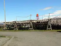 Fish drying at Hjalteyri