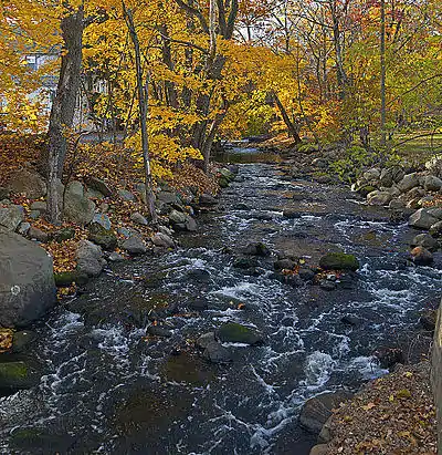 A stream with some rapids and rocks flows along a curved section between rocky shores with autumn leaves on the trees sheltering it
