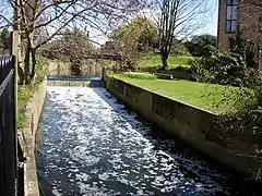 Hogsmill River