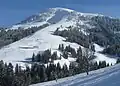 The northern slope of the mountain in winter