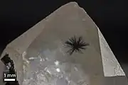 Hollandite star in rare quartz inclusion