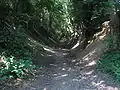 A sunken lane near Cadier en Keer