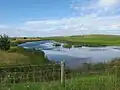 Cowpen Marsh at Seal Sands