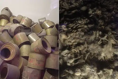 Image 1Gas canisters and hair of Holocaust victims from a Nazi concentration camp.