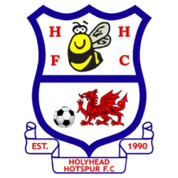 Holyhead Hotspur Badge