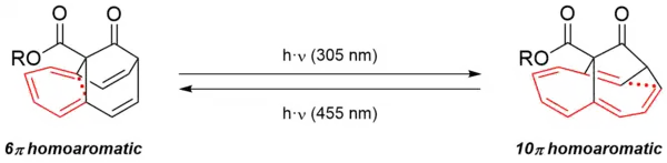 Neutral homoaromatic homoannuelenes - local 6π and global 10π homoaromaticity