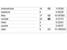 Est profile based on developmental stage.