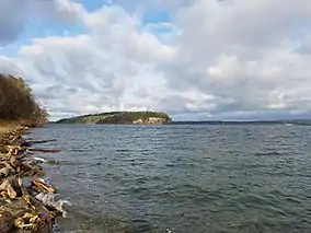 Driftwood-laden shoreline with forested piece of steep-cliffed land in the distance