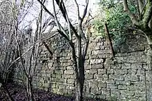 Stone wall with protruding iron bars