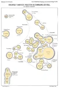 Cross section, upper