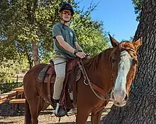 Midland School's natural horsemanship program.