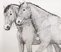 The Bell Beaker culture had domesticated horses.