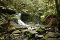 Horseshoe Falls