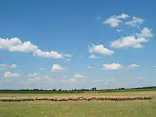 Steppe in Hungary