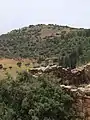 Deserted house in Farradiyya, with the hilltop ruin of Khirbet Abu esh-Sheba seen in distance