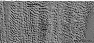 Open- and closed-cell brain terrain, as seen by HiRISE, under HiWish program.