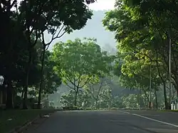 Hume Avenue overlooking Bukit Timah Hill