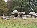 Hunebed (dolmen) D15