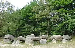 Hunebed (dolmen) D1 [nl] near Steenbergen